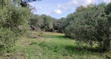 Ventabren Terrain à bâtir - 2363083-11680annonce420251210vve9I.jpeg Maisons France Confort