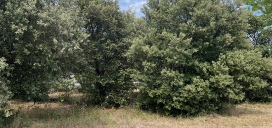 Terrain à bâtir à , Drôme