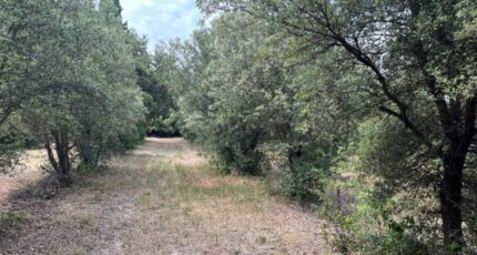 Montségur-sur-Lauzon Terrain à bâtir - 2297726-6150annonce4202510078mMJz.jpeg Maisons France Confort