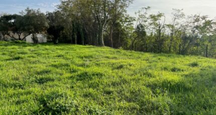 Bollène Terrain à bâtir - 2289901-6150annonce120241020dqrnr.jpeg Maisons France Confort