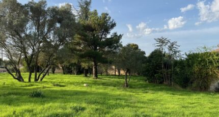 Bollène Maison neuve - 2289902-6150annonce220241020B8N9f.jpeg Maisons France Confort