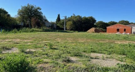 Allan Maison neuve - 2325383-6150annonce520251026p74e8.jpeg Maisons France Confort