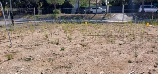Terrain à bâtir à Combaillaux, Occitanie