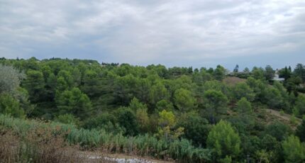 Combaillaux Maison neuve - 2364089-11040annonce120251210eaOO8.jpeg Maisons France Confort