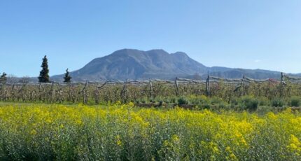 Ventavon Terrain à bâtir - 2364449-3921annonce12025121047Tlt.jpeg Maisons France Confort