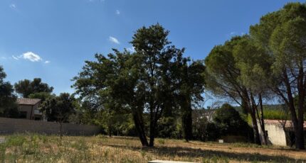 Les Matelles Terrain à bâtir - 2331354-11455annonce120251107CsSBN.jpeg Maisons France Confort