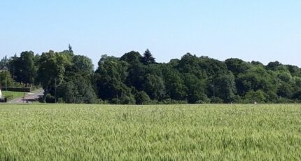 Boullay-les-Troux Terrain à bâtir - 2293412-11148annonce120251003QTNBc.jpeg Maisons France Confort