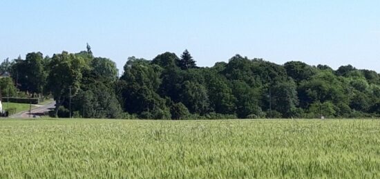 Terrain à bâtir à Saint-Rémy-lès-Chevreuse, Île-de-France