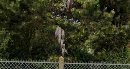 Antony Terrain à bâtir - 2319359-11148annonce120251027ovXsQ.jpeg Maisons France Confort