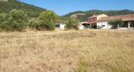 Gonfaron Terrain à bâtir - 2365152-11137annonce420250813JearC.jpeg Maisons France Confort