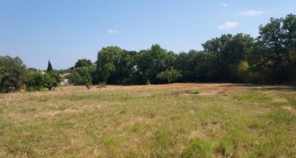 Puget-sur-Argens Maison neuve - 2365162-11137annonce420250730AVnuV.jpeg Maisons France Confort