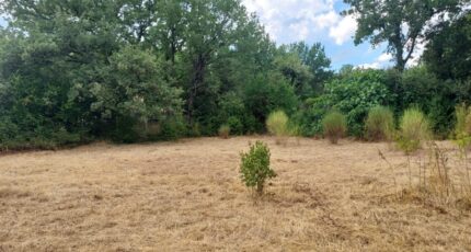 Garéoult Terrain à bâtir - 2365032-11137annonce220250730Ki06P.jpeg Maisons France Confort