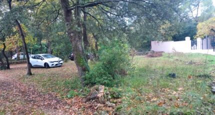 Garéoult Terrain à bâtir - 2365194-11137annonce320251211EPs4z.jpeg Maisons France Confort