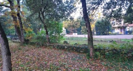 Garéoult Terrain à bâtir - 2365194-11137annonce42025121113T32.jpeg Maisons France Confort