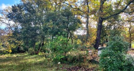 Garéoult Maison neuve - 2365202-11137annonce120251211gAtqL.jpeg Maisons France Confort