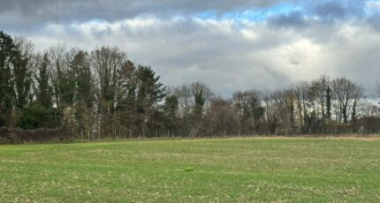 Doue Terrain à bâtir - 2364860-11572annonce120251211JHNET.jpeg Maisons France Confort