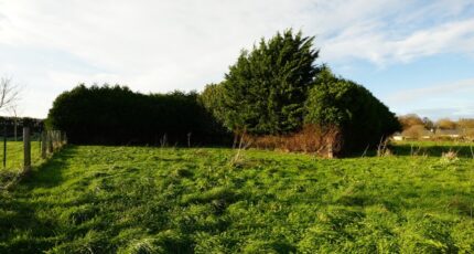 Putot-en-Bessin Maison neuve - 2365458-11660annonce220251211XWDyT.jpeg Maisons France Confort