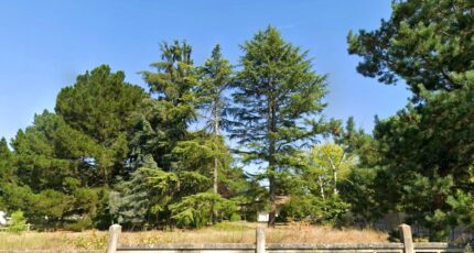 Mérignac Maison neuve - 2365488-11303annonce1202512111Kf18.jpeg Maisons France Confort