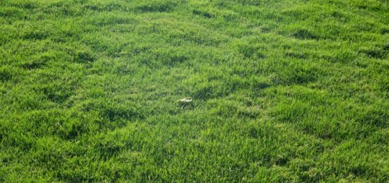 Terrain à bâtir à Sallertaine, Pays de la Loire