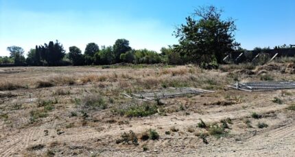 Salon-de-Provence Terrain à bâtir - 2365718-11041annonce4202512113bMbS.jpeg Maisons France Confort