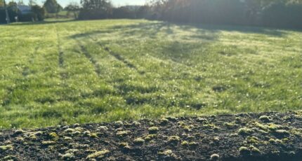 Neuillé-Pont-Pierre Terrain à bâtir - 2291812-11654annonce120251002WilzG.jpeg Maisons France Confort