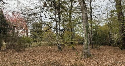 Saint-Selve Maison neuve - 2329457-11251annonce220251106uiIoA.jpeg Maisons France Confort