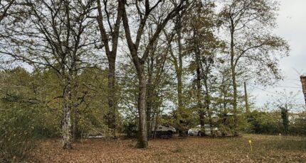 Saint-Selve Maison neuve - 2329457-11251annonce1202511060IG36.jpeg Maisons France Confort