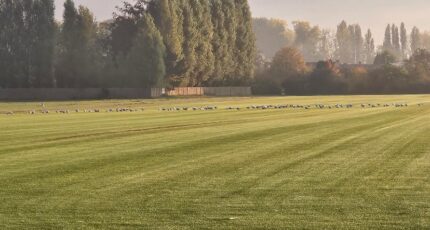 Templeuve Maison neuve - 2296825-11632annonce220251125U2RpS.jpeg Maisons France Confort