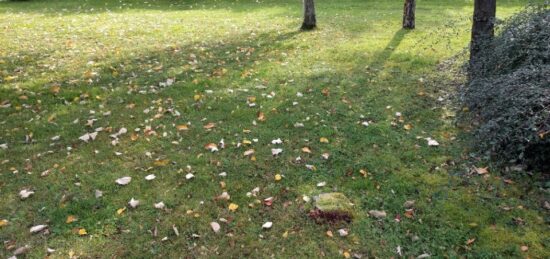 Terrain à bâtir à Combs-la-Ville, Île-de-France
