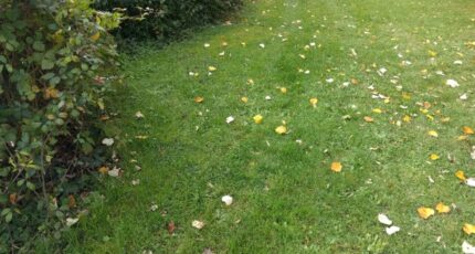 Combs-la-Ville Terrain à bâtir - 2362831-11705annonce2202512108UQXr.jpeg Maisons France Confort