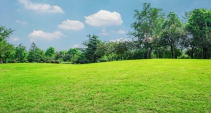 Péron Terrain à bâtir - 2366319-11023annonce320251212X4EfL.jpeg Maisons France Confort