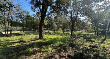 Le Plan-de-la-Tour Terrain à bâtir - 2304632-11102annonce220251014sLfKs.jpeg Maisons France Confort