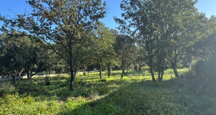 Le Plan-de-la-Tour Maison neuve - 2304634-11102annonce120251014qFf2I.jpeg Maisons France Confort