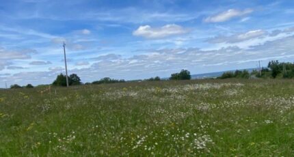 Colombier Terrain à bâtir - 2365819-11709annonce1202512122HbKr.jpeg Maisons France Confort