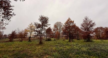 Maurens Terrain à bâtir - 2357686-11709annonce420251212TmZU3.jpeg Maisons France Confort