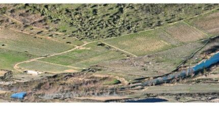 Ferrals-les-Corbières Maison neuve - 2256814-annonceTerrain-20241118093828.JPEG Maisons France Confort