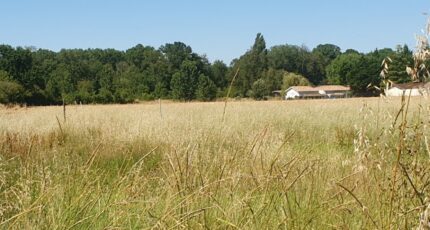 Saint-Christoly-de-Blaye Terrain à bâtir - 2367259-11015annonce120251212QQD5E.jpeg Maisons France Confort