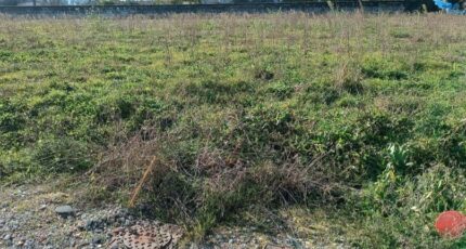 Gauriaguet Terrain à bâtir - 2367428-11015annonce120251212ghMtM.jpeg Maisons France Confort