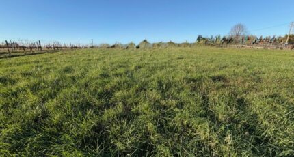 Capian Terrain à bâtir - 2366992-10677annonce120251212I1Bdq.jpeg Maisons France Confort