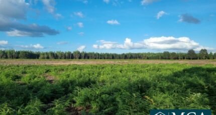 Laluque Maison neuve - 2367608-5828annonce120251003F6yv5.jpeg Maisons France Confort