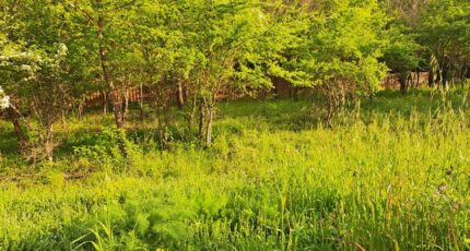 Gréasque Maison neuve - 2367880-11041annonce2202512134U9iu.jpeg Maisons France Confort