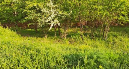 Gréasque Maison neuve - 2367881-11041annonce320251213AqR3R.jpeg Maisons France Confort