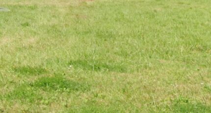 Saint-Selve Terrain à bâtir - 2368043-3601annonce120251214SIDsu.jpeg Maisons France Confort