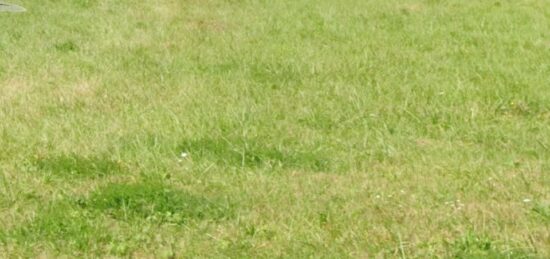 Terrain à bâtir à Saint-Selve, Nouvelle-Aquitaine