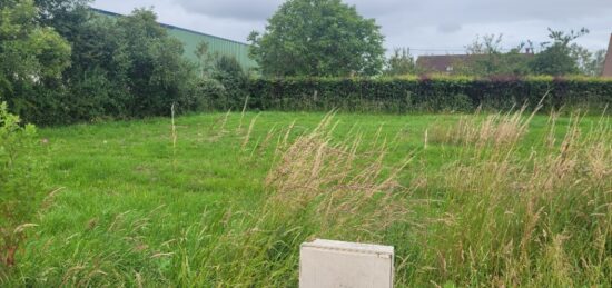 Terrain à bâtir à Wormhout, Hauts-de-France