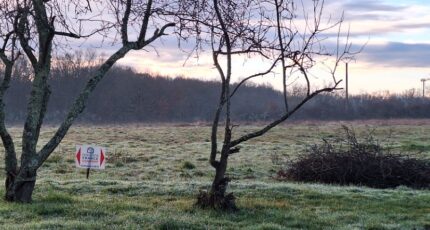 Fontenilles Maison neuve - 2300760-9555annonce120251010McX8P.jpeg Maisons France Confort