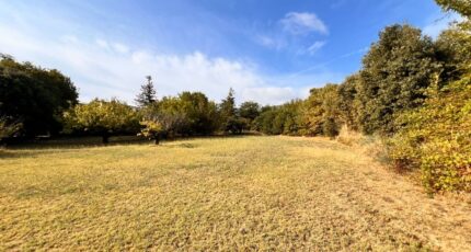 L'Isle-sur-la-Sorgue Maison neuve - 2363905-417annonce120251210ZbpyI.jpeg Maisons France Confort