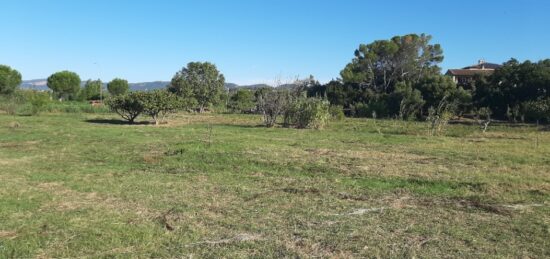 Terrain à bâtir à Bagnols-en-Forêt, Provence-Alpes-Côte d'Azur