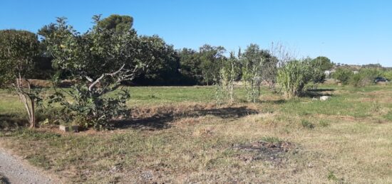 Terrain à bâtir à , Var