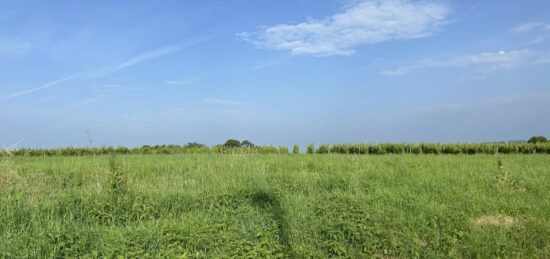 Terrain à bâtir à Landiras, Nouvelle-Aquitaine